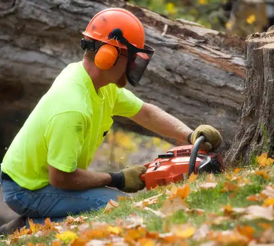 tree services East Massapequa